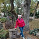 ���������� �����, ���� ������� ����, 56 ���, ������������ ��� ������, ����� � ���������, c�������� ���������