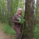  ,   , 66 ,     , c , 