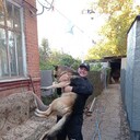  --,   , 32 ,     