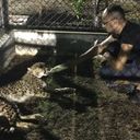  ,   Falcon 27, 40 ,   ,   , c , 