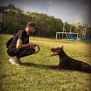 ���������� ���������, ���� ������� Nikita, 36 ���, ������������ ��� ������, ����� � ���������, c�������� ���������, ���������