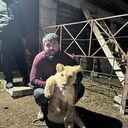 ���������� ����-�������, ���� ������� ��������, 32 ����, ������������ ��� ������, ����� � ���������, c�������� ���������, ���������