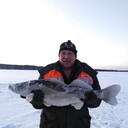 ���������� ������ �����, ���� ������� �������, 49 ���, ������������ ��� ������, ����� � ���������, c�������� ���������