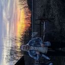  ,   , 26 ,   ,   , c , 