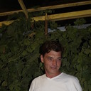  -,   , 51 ,   ,   , c 