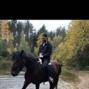 ���������� ����, ���� ������� ���������, 34 ����, ������������ ��� ������, ����� � ���������