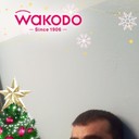 ���������� ��������, ���� ������� Artashes, 45 ���, ������������ ��� ������, ����� � ���������, c�������� ���������