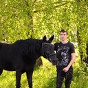 ���������� ������ ��������, ���� ������� ������, 31 ���, ������������ ��� ������, ����� � ���������