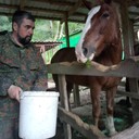 ���������� ����, ���� ������� ���������, 53 ����, ������������ ��� ������