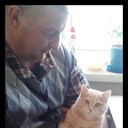 ���������� ����, ���� ������� ���������, 41 ���, ������������ ��� ������, ����� � ���������, c�������� ���������