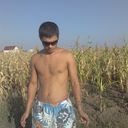  ,   Albert, 37 ,   ,   , c 