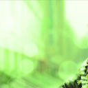 ���������� ������, ���� ������� USDboy, 36 ���, ������������ ��� ����� � ���������, c�������� ���������