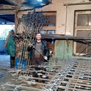 ���������� ���������, ���� ������� �����, 46 ���, ������������ ��� ������, ����� � ���������, c�������� ���������, ���������