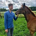 ���������� ������, ���� ������� ������, 37 ���, ������������ ��� ������, ����� � ���������, c�������� ���������, ���������