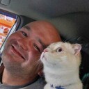 ���������� �����������, ���� ������� ������, 38 ���, ������������ ��� ������, ���������