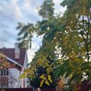 ���������� ������������, ���� ������� ����, 43 ����, ������������ ��� ������, ���������