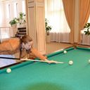 ���������� ������, ���� ������� ���������, 42 ����, ������������ ��� ����� � ���������, c�������� ���������