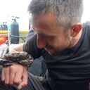 ���������� �������, ���� ������� �����, 37 ���, ������������ ��� ����� � ���������, c�������� ���������