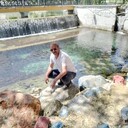 ���������� ������, ���� ������� �������, 50 ���, ������������ ��� ������, ����� � ���������