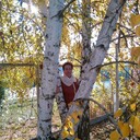  ,   , 74 ,   ,   