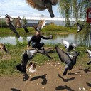 ���������� ������, ���� ������� ������, 46 ���, ������������ ��� ������, ����� � ���������