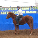  Novy,   , 63 ,   ,   