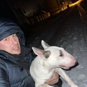 ���������� ��������, ���� ������� ���������, 43 ����, ������������ ��� ������, ����� � ���������, c�������� ���������, ���������