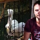 ���������� �����, ���� ������� �������, 39 ���, ������������ ��� ����� � ���������, c�������� ���������