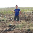 ���������� �����, ���� ������� �������, 33 ����, ������������ ��� ������, ����� � ���������