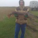 ���������� ���������, ���� ������� ���������, 29 ���, ������������ ��� ������, ����� � ���������, c�������� ���������, ���������