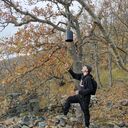 ���������� ����, ���� ������� ����, 31 ���, ������������ ��� ������, ����� � ���������, c�������� ���������, ���������