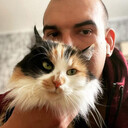 ���������� �����, ���� ������� �������, 31 ���, ������������ ��� ������, ����� � ���������