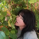 ���������� ������, ���� ������� ������, 43 ����, ������������ ��� c�������� ���������