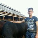  ,   , 44 ,   ,   , c , 