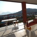 ���������� ����, ���� ������� �����, 38 ���, ������������ ��� ����� � ���������, c�������� ���������