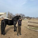 ���������� ���������, ���� ������� �����, 30 ���, ������������ ��� ������, ����� � ���������