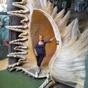 ���������� ����, ���� ������� ����, 60 ���, ������������ ��� ������, ����� � ���������, c�������� ���������