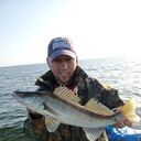 ���������� �������, ���� ������� ������, 49 ���, ������������ ��� ������, ����� � ���������