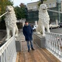 ���������� �����������, ���� ������� ��������, 37 ���, ������������ ��� ������, ����� � ���������, c�������� ���������, ���������