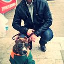 ���������� ��������������, ���� ������� ������, 33 ����, ������������ ��� ������