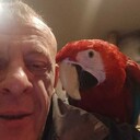 ���������� ������, ���� ������� ���������, 43 ����, ������������ ��� ������, ����� � ���������, c�������� ���������, ���������