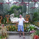  --,   , 51 ,   