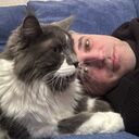 ���������� ������, ���� ������� ��������, 41 ���, ������������ ��� c�������� ���������