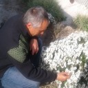  ,   Zenchik, 51 ,   ,   , c 