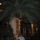  ,    120001, 51 ,   