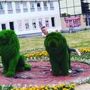 ���������� ������, ���� ������� Victor, 30 ���, ������������ ��� ������, ����� � ���������, c�������� ���������