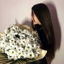 ���������� �����-���������, ���� ������� ����, 28 ���, ������������ ��� ������, ����� � ���������