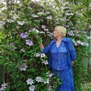 ,   , 65 ,     