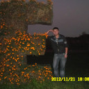  ,   , 31 ,     , c 