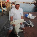 ���������� ����, ���� ������� �������, 50 ���, ������������ ��� ������, ����� � ���������, c�������� ���������, ���������